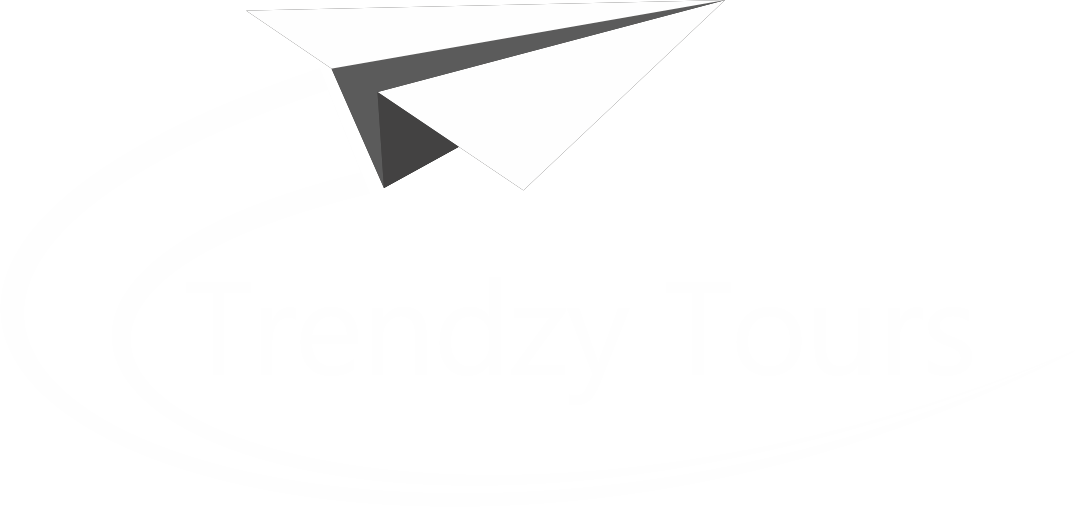 PLAIN LOGO WHITE